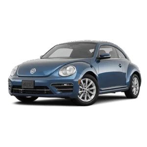 Beetle